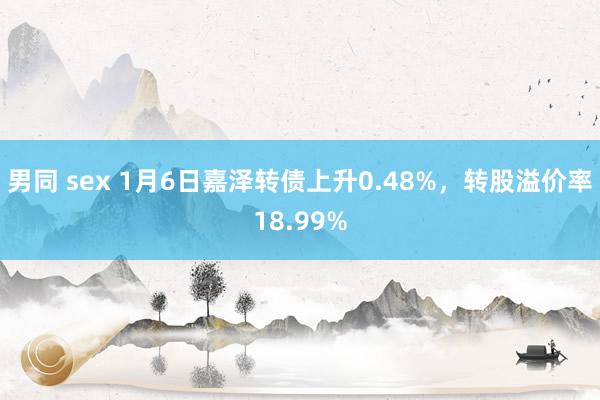 男同 sex 1月6日嘉泽转债上升0.48%,转股溢价率18.99%