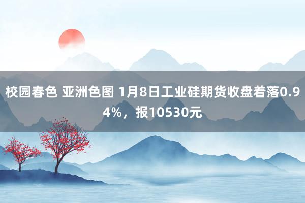 校园春色 亚洲色图 1月8日工业硅期货收盘着落0.94%,报10530元