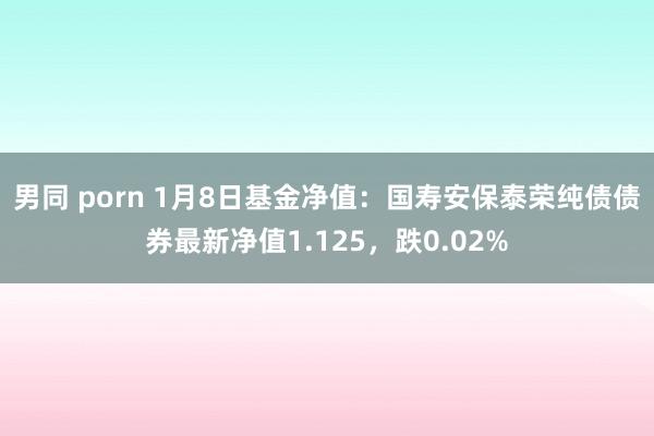 男同 porn 1月8日基金净值:国寿安保泰荣纯债债券最新净值1.125,跌0.02%