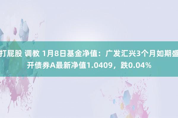 打屁股 调教 1月8日基金净值：广发汇兴3个月如期盛开债券A最新净值1.0409，跌0.04%