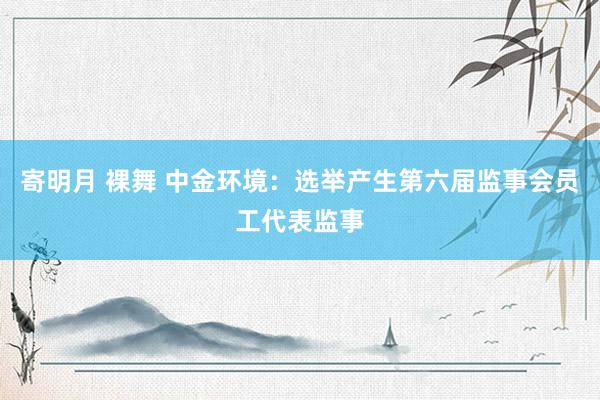 寄明月 裸舞 中金环境:选举产生第六届监事会员工代表监事