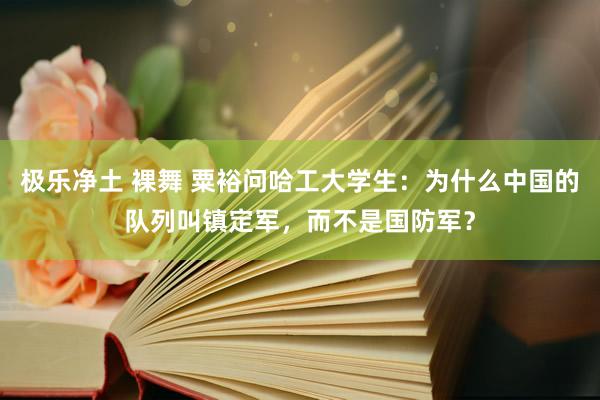 极乐净土 裸舞 粟裕问哈工大学生:为什么中国的队列叫镇定军,而不是国防军?