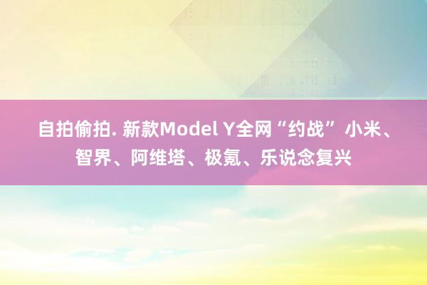 自拍偷拍. 新款Model Y全网“约战” 小米、智界、阿维塔、极氪、乐说念复兴