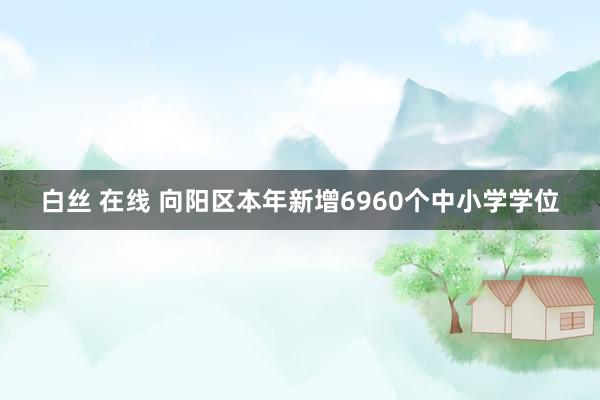 白丝 在线 向阳区本年新增6960个中小学学位