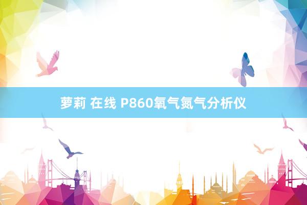 萝莉 在线 P860氧气氮气分析仪