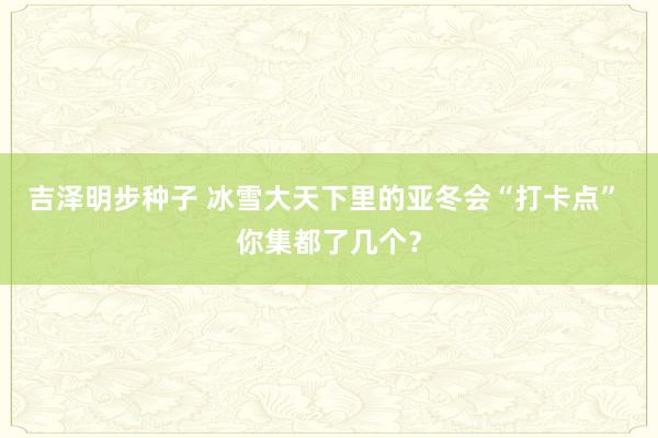 吉泽明步种子 冰雪大天下里的亚冬会“打卡点” 你集都了几个？