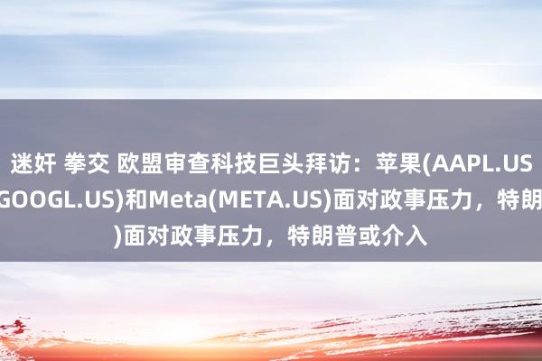 迷奸 拳交 欧盟审查科技巨头拜访：苹果(AAPL.US)、谷歌(GOOGL.US)和Meta(META.US)面对政事压力，特朗普或介入