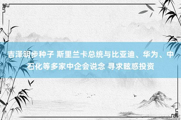 吉泽明步种子 斯里兰卡总统与比亚迪、华为、中石化等多家中企会说念 寻求眩惑投资