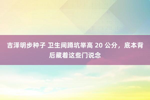 吉泽明步种子 卫生间蹲坑举高 20 公分,底本背后藏着这些门说念