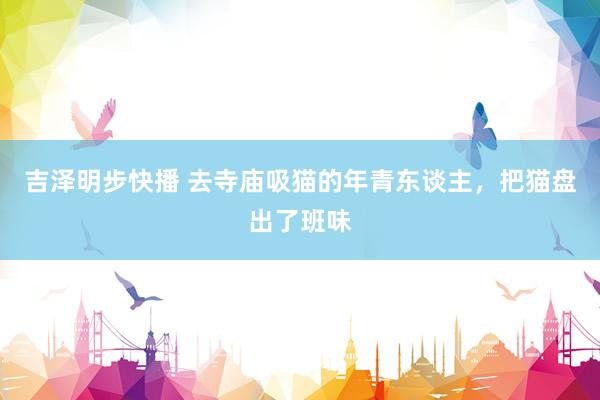 吉泽明步快播 去寺庙吸猫的年青东谈主，把猫盘出了班味