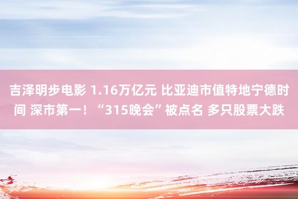 吉泽明步电影 1.16万亿元 比亚迪市值特地宁德时间 深市第一!“315晚会”被点名 多只股票大跌