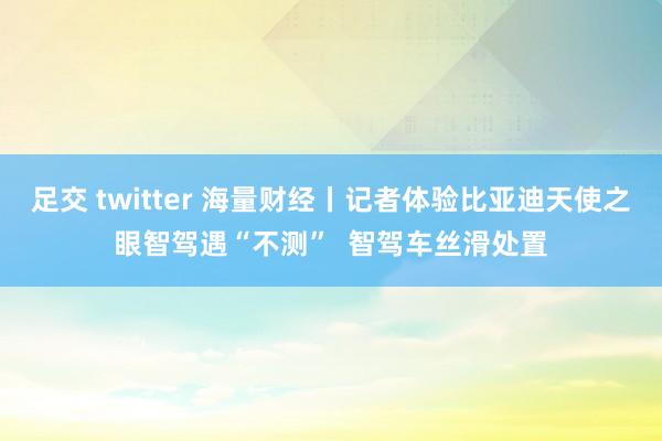 足交 twitter 海量财经丨记者体验比亚迪天使之眼智驾遇“不测”  智驾车丝滑处置